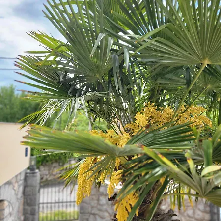 Apartman Qca Krk Dobrinj