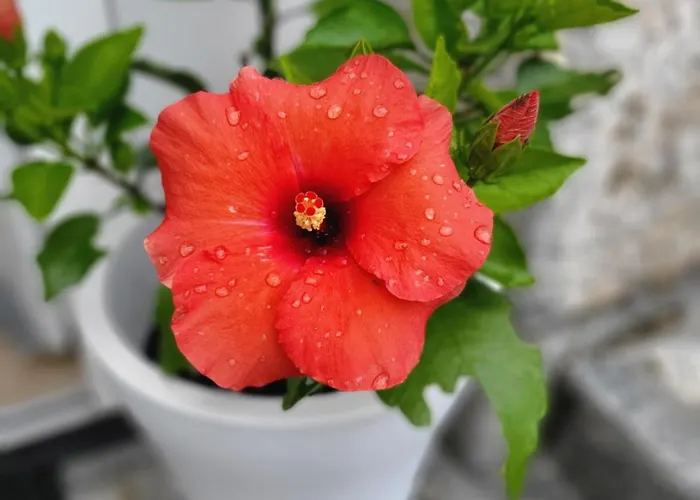 Appartement Qca Krk Dobrinj