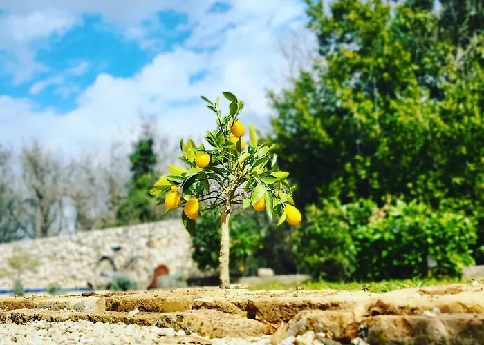 Qca Krk Appartement *